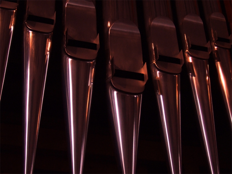 Orgel Peifen